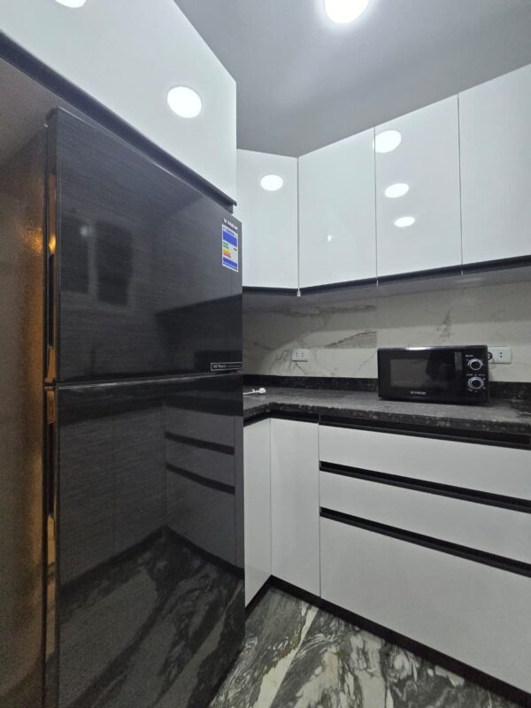 عباس العقاد الرئيسي6